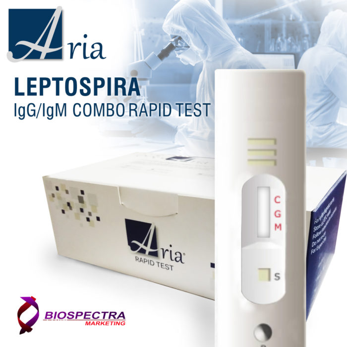 ARIA Leptospira IgG/IgM Combo Rapid Test
