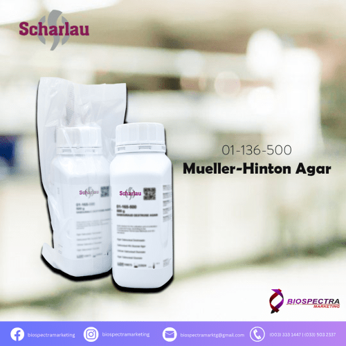 SCHARLAU Mueller Hinton Agar