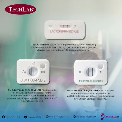 TechLab Rapid Test