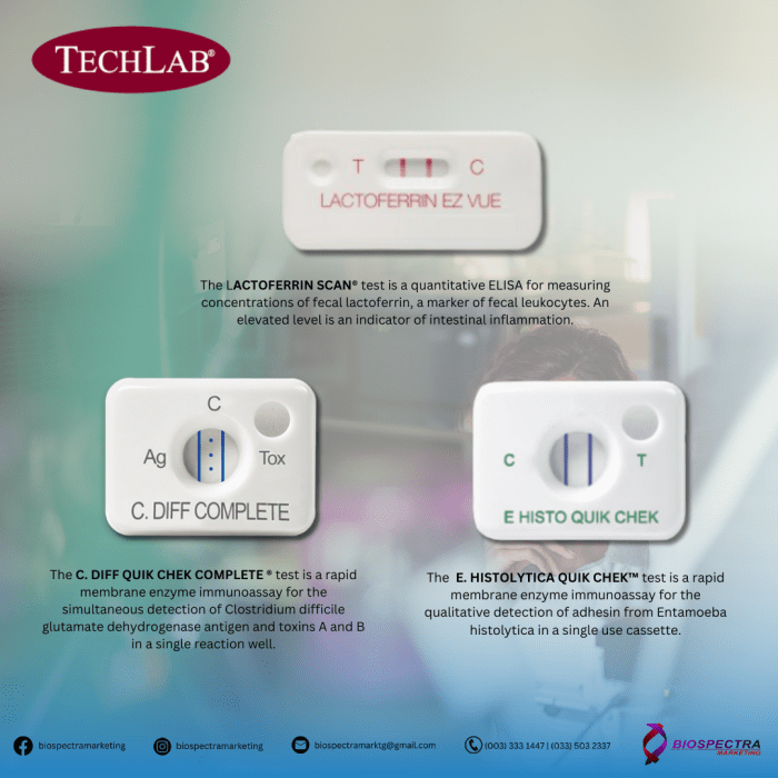 TechLab Rapid Test